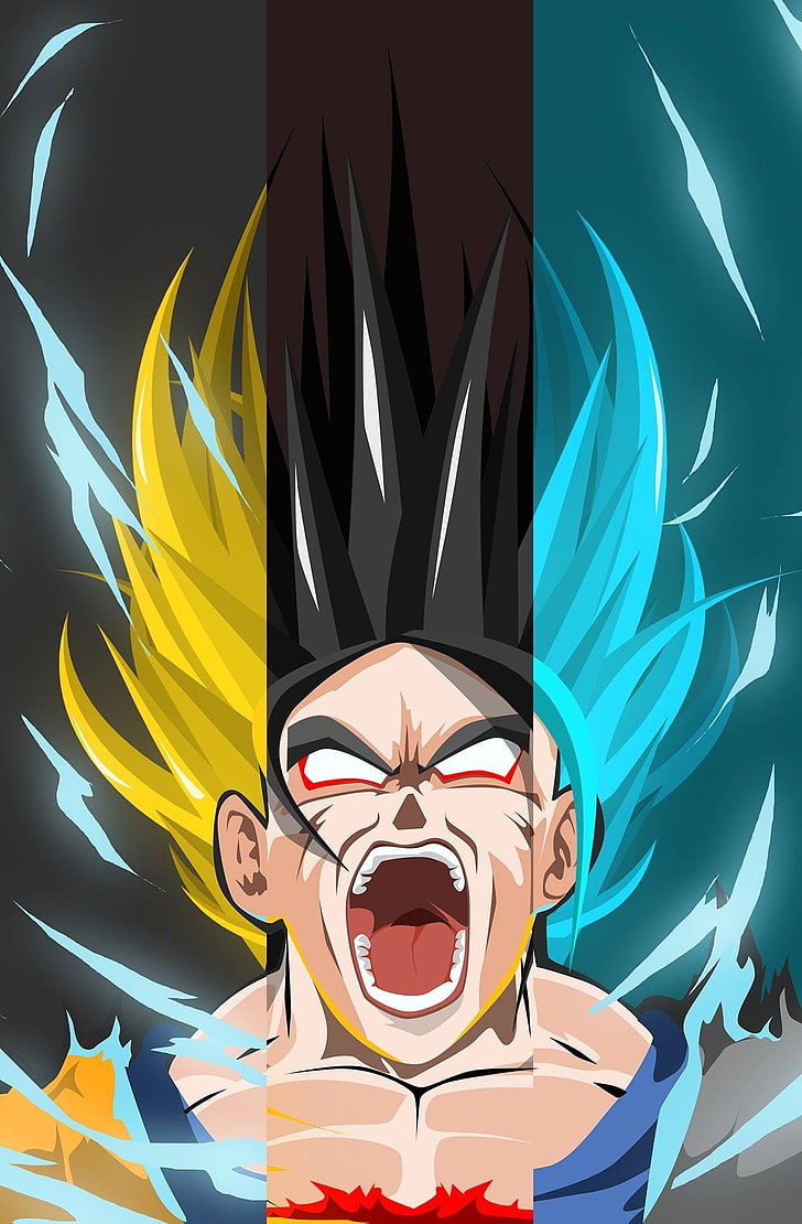 Son Goku illustration